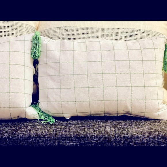 2 Target Bullseye “Welcome to the Carrot Patch” Pillows - Picture 6 of 6